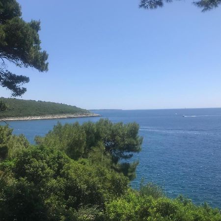 Villa Holiday バニョレ エクステリア 写真
